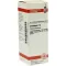 CRATAEGUS Diluição D 2, 20 ml