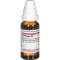 CRATAEGUS Diluição D3, 20 ml