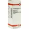 HAMAMELIS Diluição D 2, 20 ml