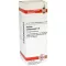 KALIUM BICHROMICUM Diluição D 12, 20 ml