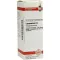 LYCOPODIUM Diluição D4, 20 ml