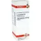 LYCOPODIUM Diluição D 6, 20 ml