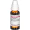LYCOPODIUM Diluição D 6, 20 ml