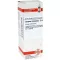 LYCOPUS VIRGINICUS Diluição D 6, 20 ml