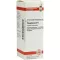 PHOSPHORUS Diluição D 6, 20 ml