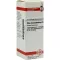 RHUS TOXICODENDRON Diluição D 6, 20 ml