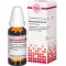 RHUS TOXICODENDRON Diluição D 6, 20 ml