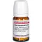 RHUS TOXICODENDRON D 6 comprimidos, 80 unidades