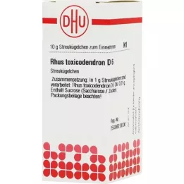 RHUS TOXICODENDRON D 6 glóbulos, 10 g
