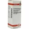 SECALE CORNUTUM Diluição D 6, 20 ml