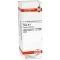 THUJA Diluição D3, 20 ml