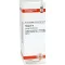 THUJA Diluição D4, 20 ml