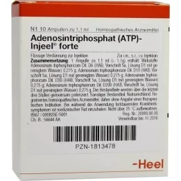 ATP Ampolas Injeel forte, 10 unid