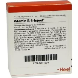 VITAMIN B6 INJEEL Ampolas, 10 unid
