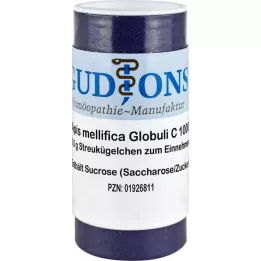 APIS MELLIFICA C 1000 glóbulos de dose única, 0,5 g