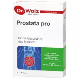 PROSTATA PRO Cápsulas Dr.Wolz, 2x20 unidades