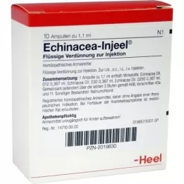 ECHINACEA INJEEL Ampolas, 10 unidades