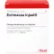 ECHINACEA INJEEL Ampolas, 10 unidades