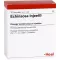 ECHINACEA INJEEL Ampolas, 10 unidades