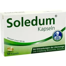SOLEDUM Cápsulas gastrorresistentes de 100 mg, 50 unidades