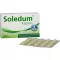 SOLEDUM Cápsulas gastrorresistentes de 100 mg, 50 unidades