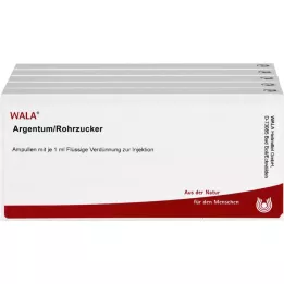 ARGENTUM/ROHRZUCKER Ampolas, 50X1 ml