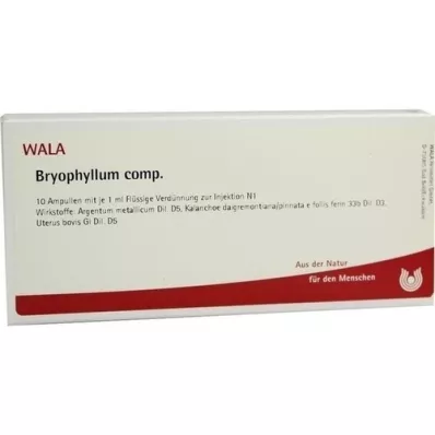 BRYOPHYLLUM COMP.Ampolas, 10 x 1 ml BRYOPHYLLUM COMP.Ampolas, 10 x 1 ml