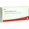 PERIODONTIUM/STANNUM comp. ampolas, 10X1 ml