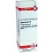 HYPERICUM Diluição D 6, 20 ml