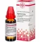 HYPERICUM EXTERN Extrato, 20 ml