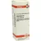 PHYTOLACCA Diluição D 6, 20 ml