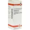 PULSATILLA Diluição D 12, 20 ml