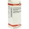 RHUS TOXICODENDRON Diluição D 12, 20 ml
