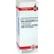 RHUS TOXICODENDRON Diluição D 30, 20 ml