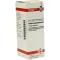 ROBINIA PSEUDACACIA Diluição D3, 20 ml