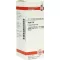 RUTA Diluição D 6, 20 ml