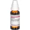 RUTA Diluição D 6, 20 ml
