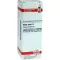 SALIX ALBA Diluição D 1, 20 ml