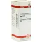 THUJA Diluição D 12, 20 ml
