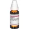 URTICA Diluição D4, 20 ml