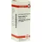 AGNUS CASTUS Diluição D 6, 20 ml