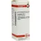 CAMPHORA Diluição D3, 20 ml