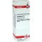 CAMPHORA Diluição D4, 20 ml