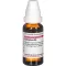 CAMPHORA Diluição D4, 20 ml