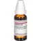 CAMPHORA Diluição D 6, 20 ml