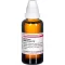 CAUSTICUM HAHNEMANNI Diluição D4, 50 ml