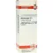 ALLIUM CEPA Diluição D3, 20 ml