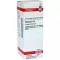CONIUM Diluição D 12, 20 ml