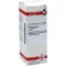 CRATAEGUS Tintura mãe, 20 ml