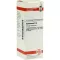 DULCAMARA Diluição D 6, 20 ml